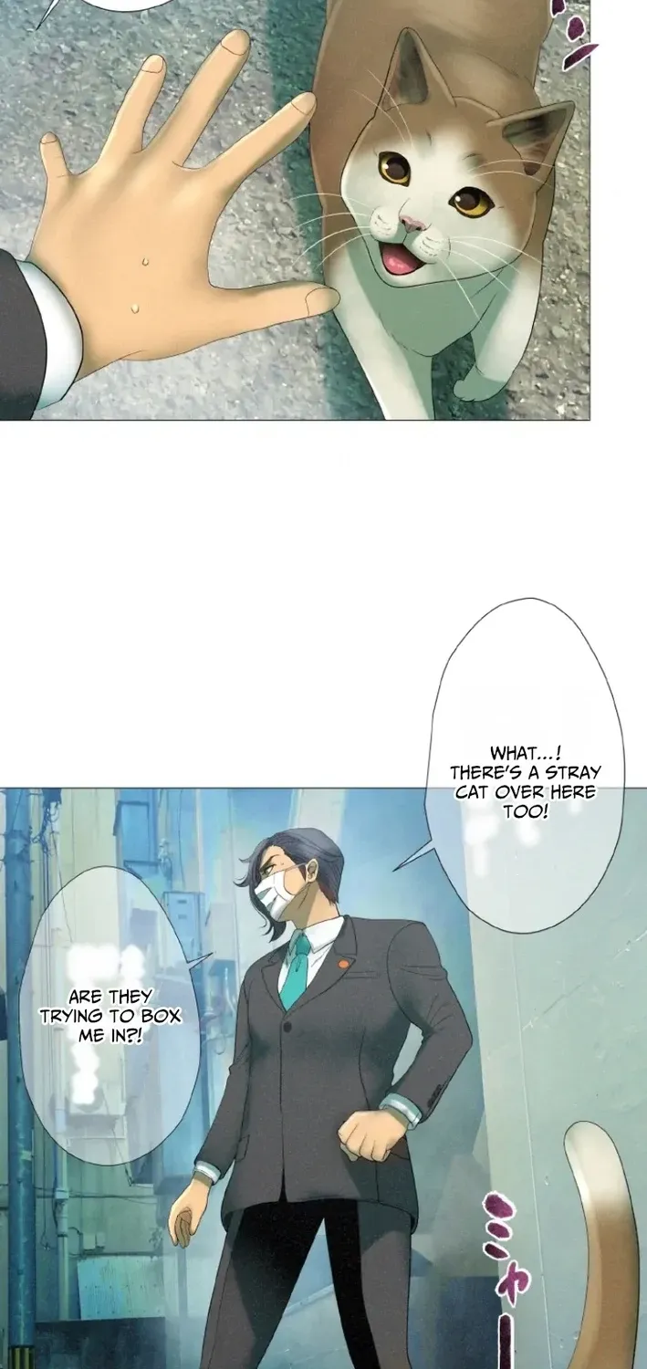 Monster Cat Punch Chapter 11 page 14 - 