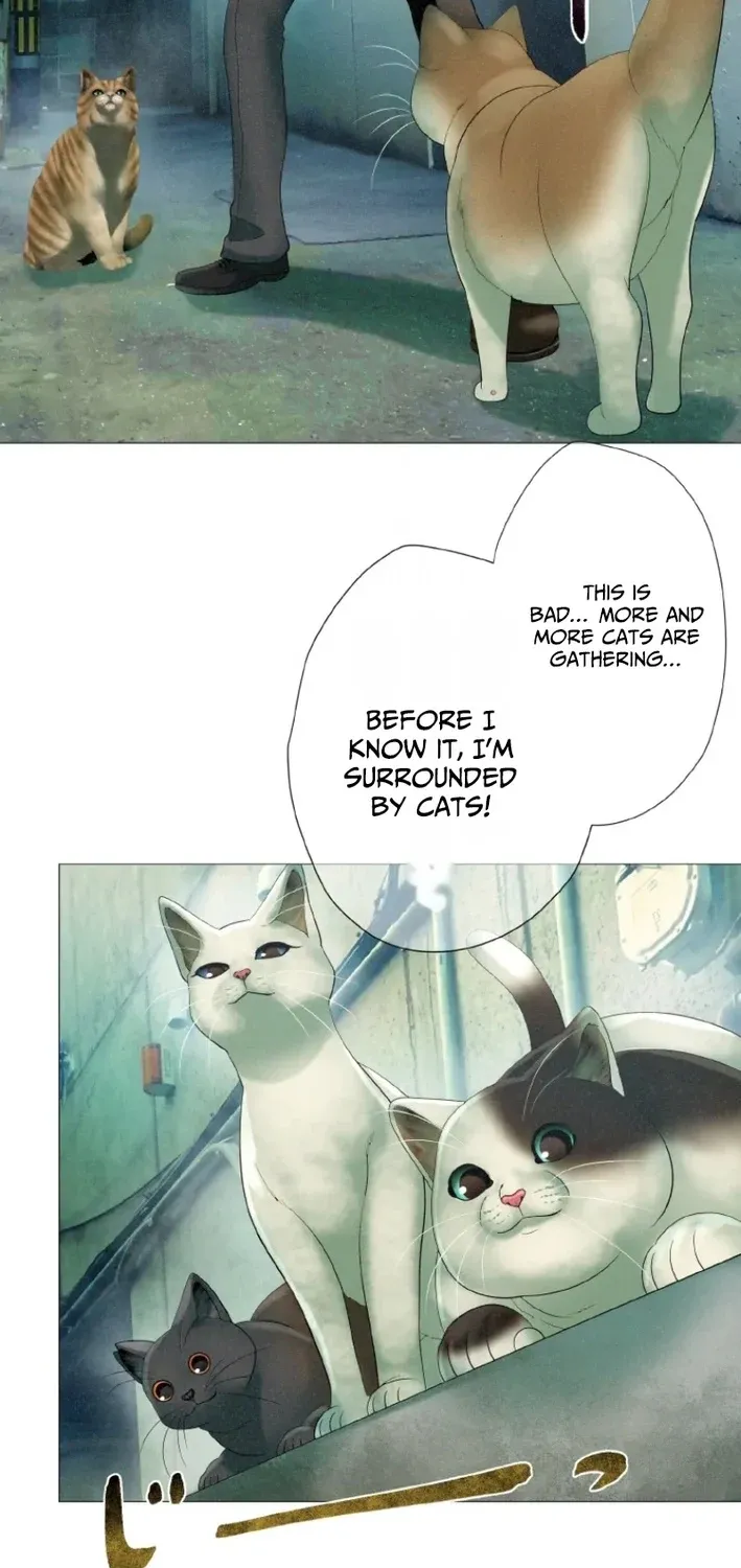 Monster Cat Punch Chapter 11 page 15 - 