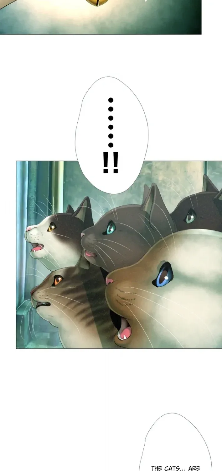 Monster Cat Punch Chapter 11 page 19 - 