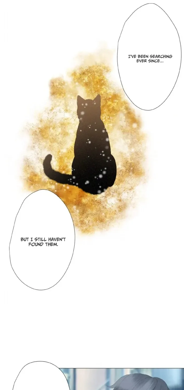 Monster Cat Punch Chapter 11 page 30 - 