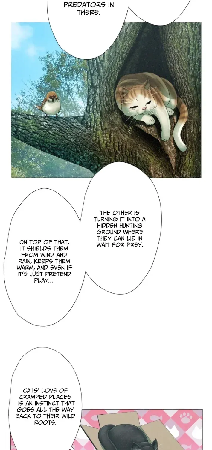 Monster Cat Punch Chapter 11 page 45 - 