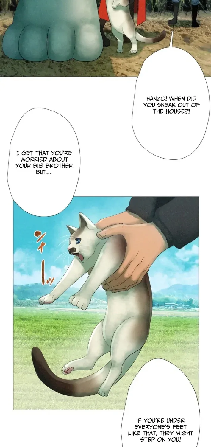 Monster Cat Punch Chapter 11 page 47 - 