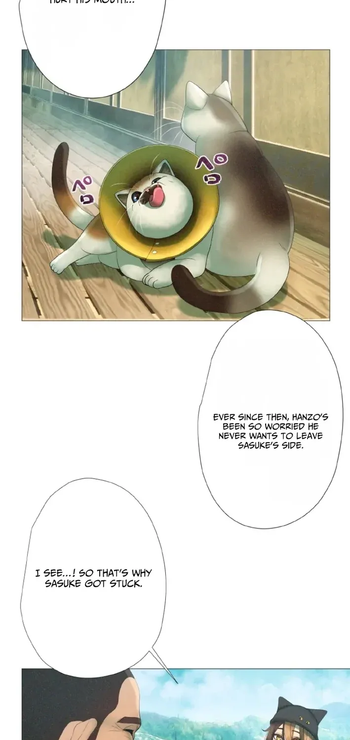 Monster Cat Punch Chapter 11 page 49 - 