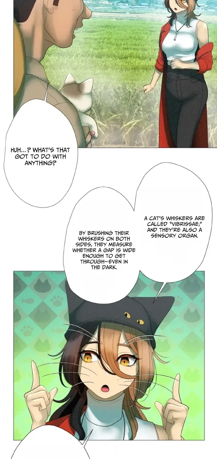 Monster Cat Punch Chapter 11 page 50 - 