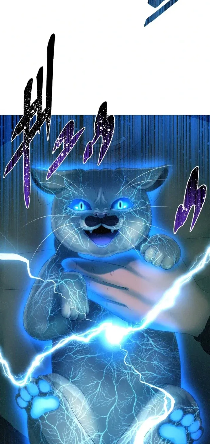 Monster Cat Punch Chapter 11 page 77 - 