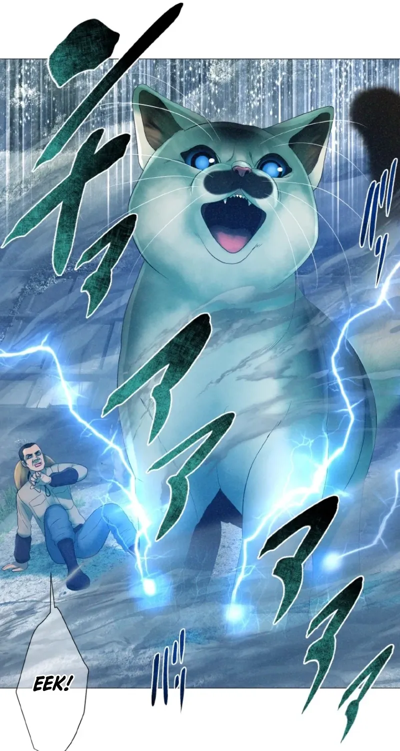 Monster Cat Punch Chapter 12 page 11 - 