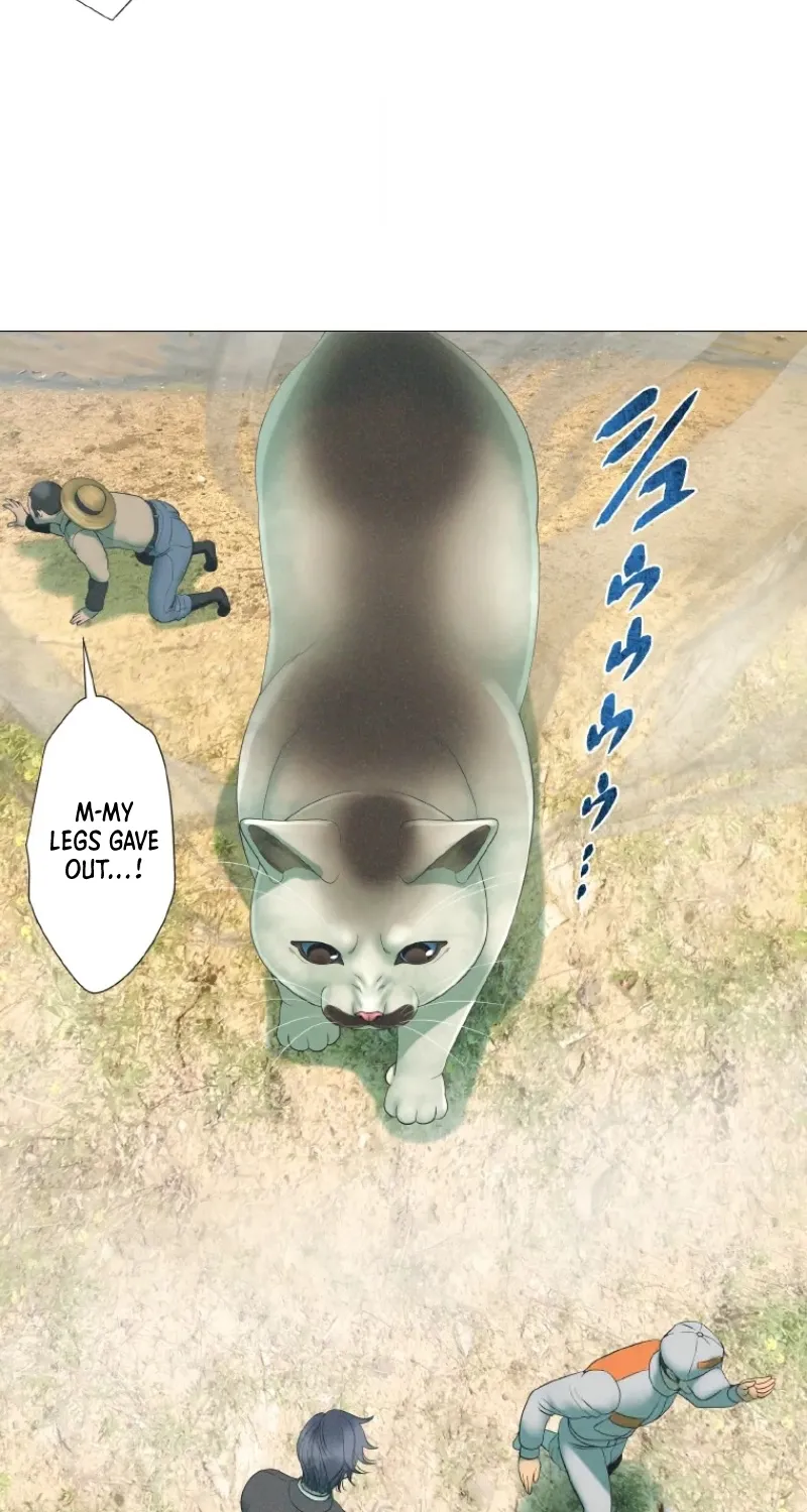 Monster Cat Punch Chapter 12 page 12 - 