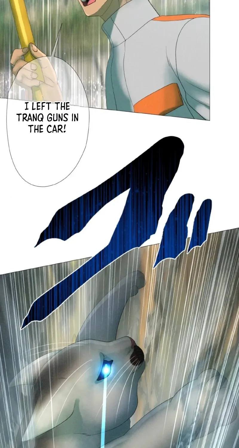 Monster Cat Punch Chapter 12 page 17 - 
