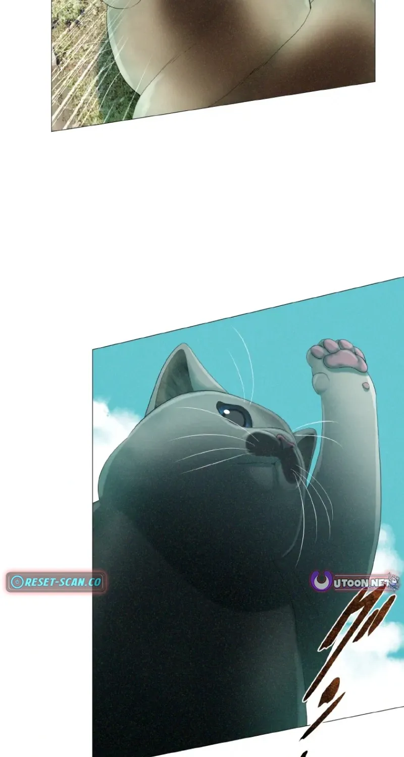 Monster Cat Punch Chapter 12 page 29 - 