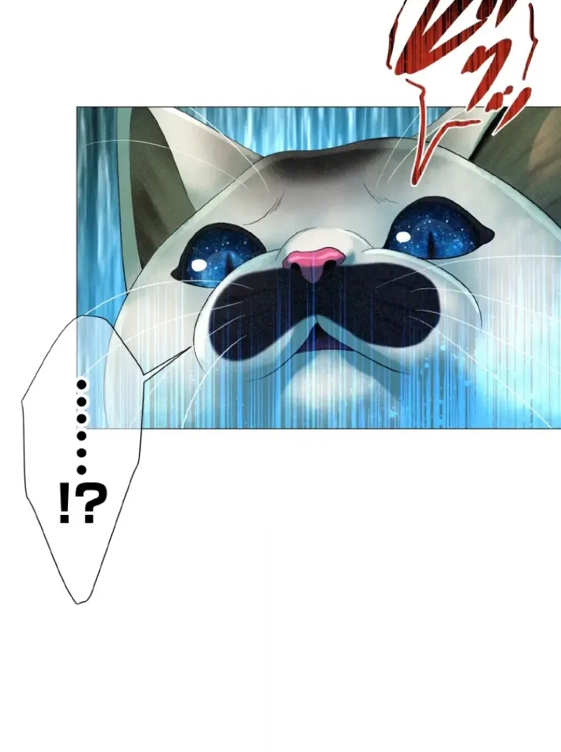 Monster Cat Punch Chapter 12 page 35 - 