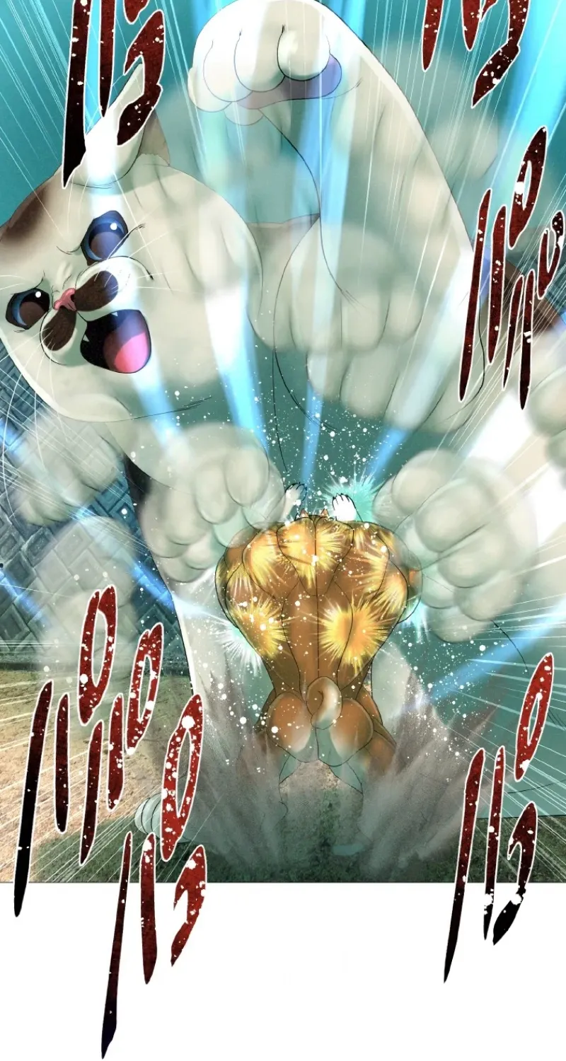 Monster Cat Punch Chapter 12 page 37 - 
