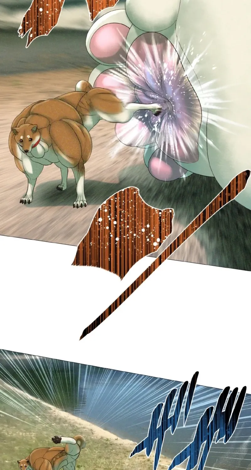 Monster Cat Punch Chapter 12 page 39 - 