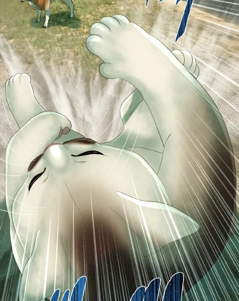 Monster Cat Punch Chapter 12 page 40 - 