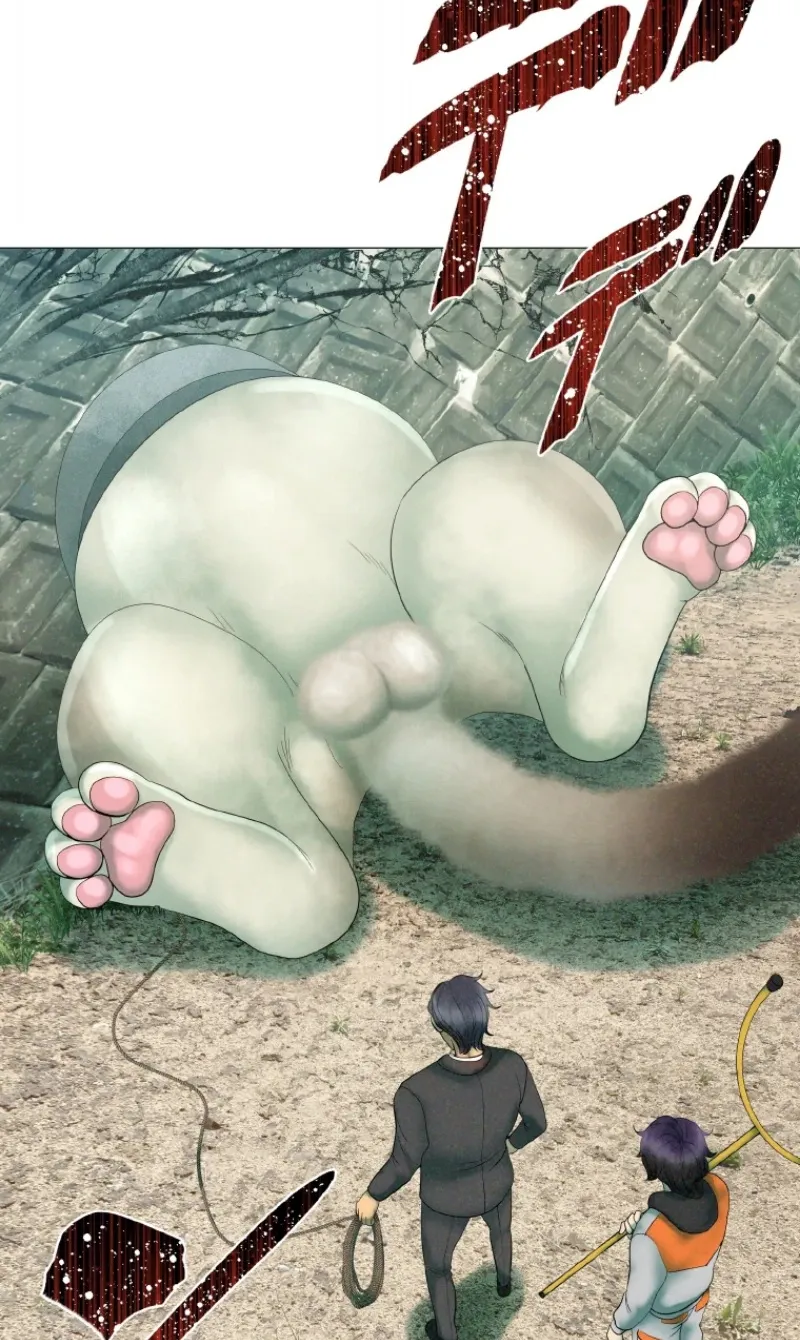 Monster Cat Punch Chapter 12 page 70 - 
