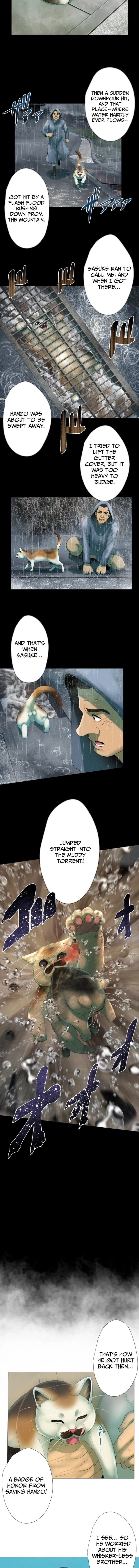 Monster Cat Punch Chapter 13 page 8 - 