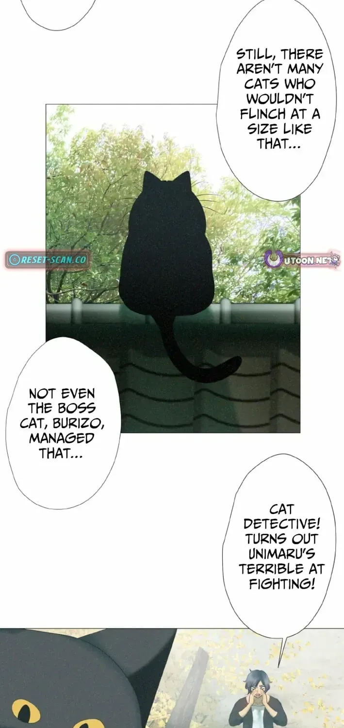 Monster Cat Punch Chapter 16 page 19 - 