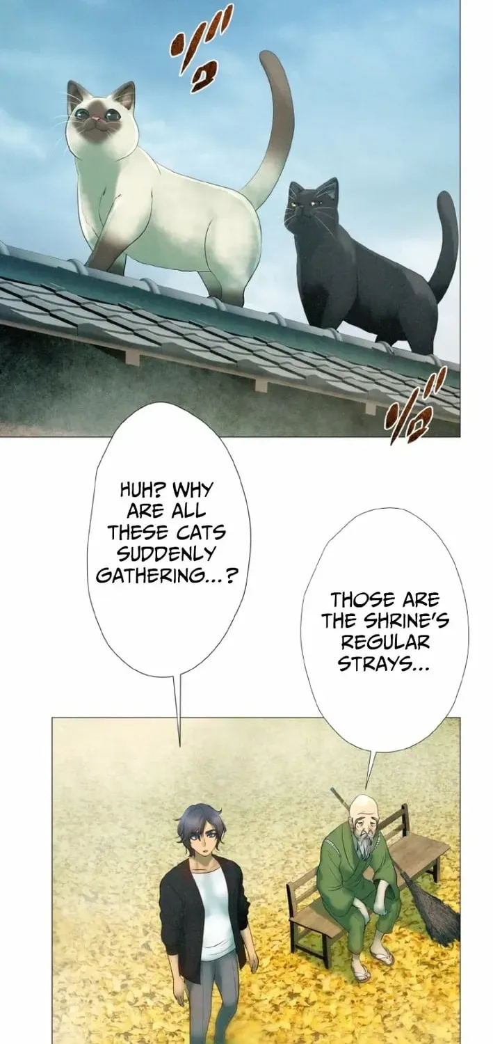 Monster Cat Punch Chapter 16 page 22 - 