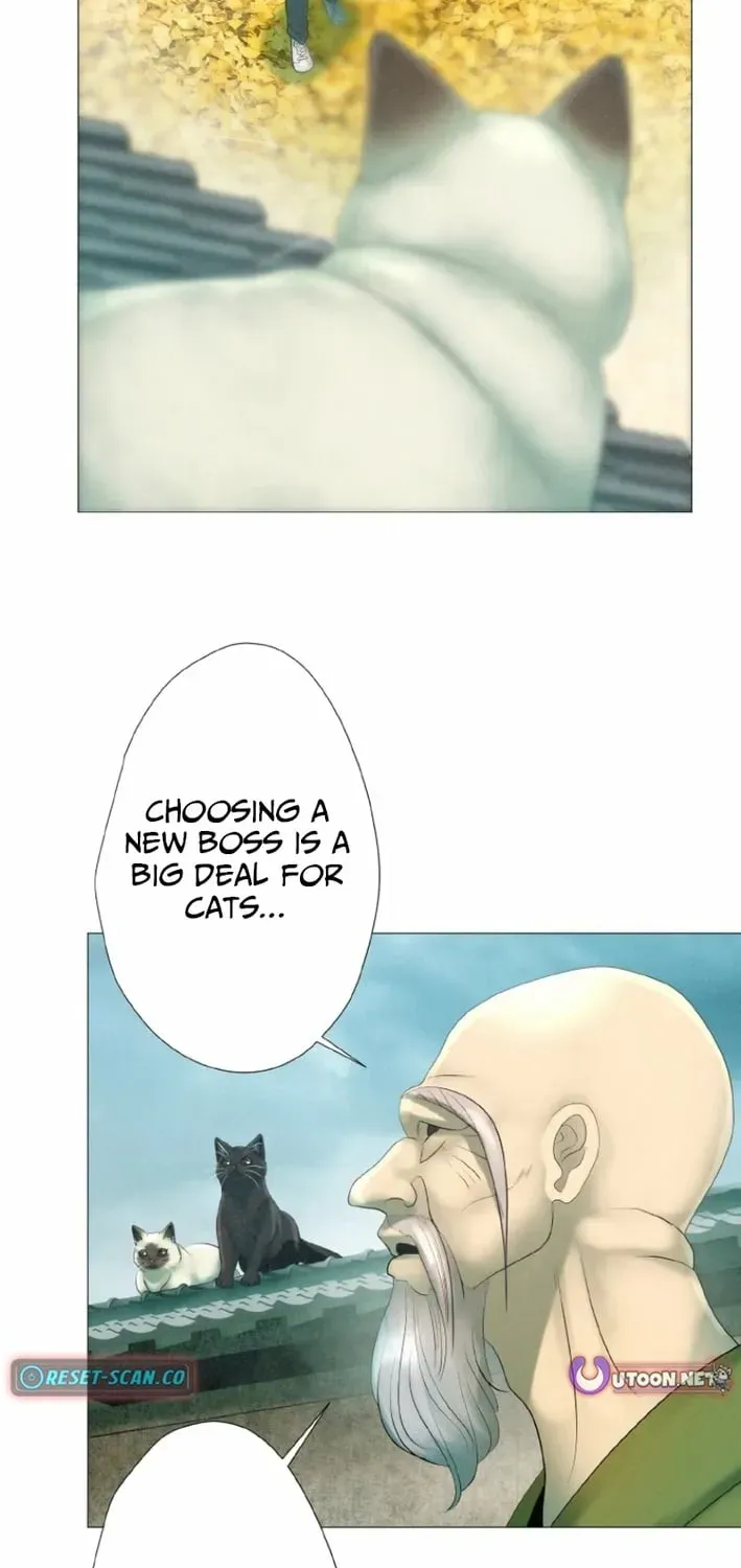 Monster Cat Punch Chapter 16 page 23 - 