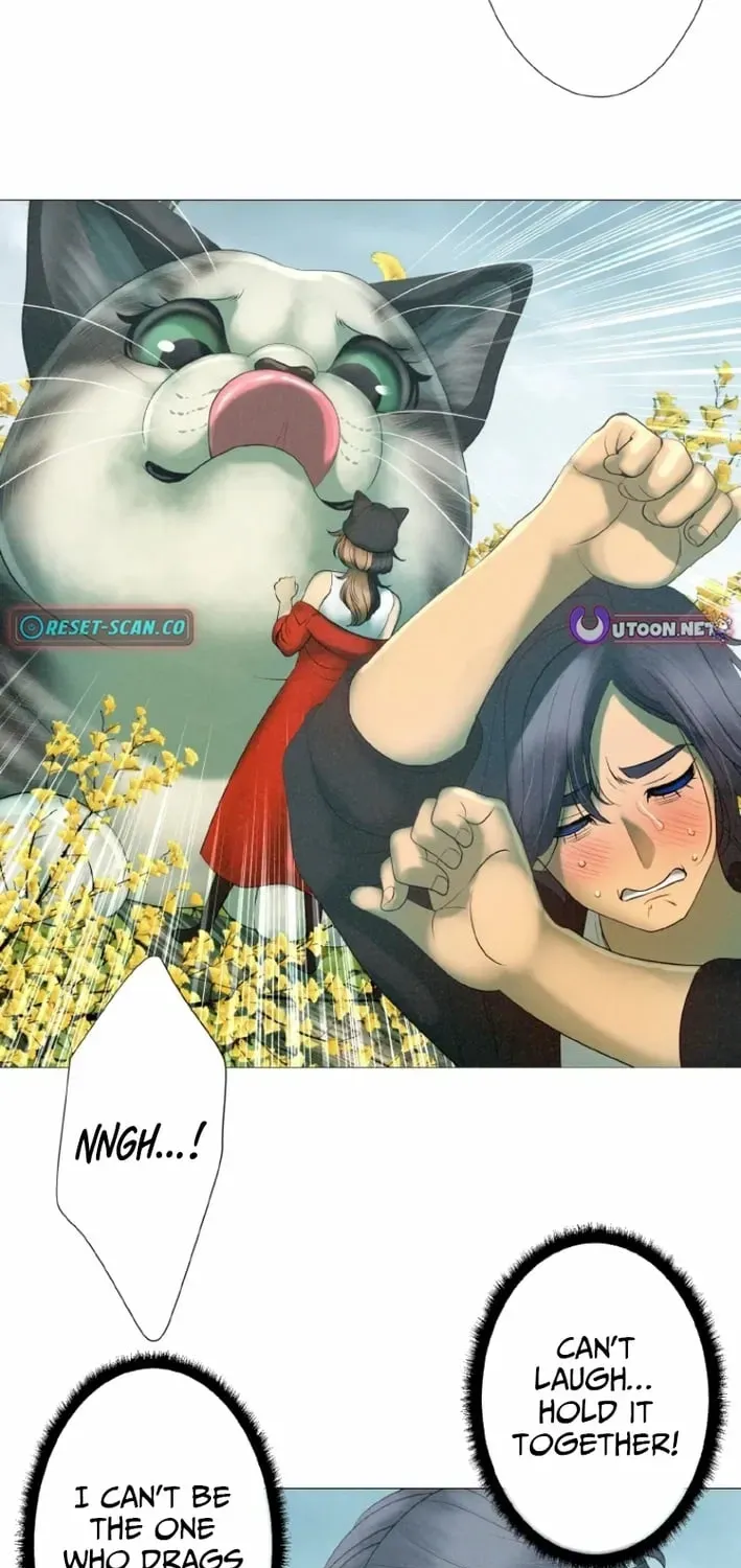Monster Cat Punch Chapter 16 page 35 - 