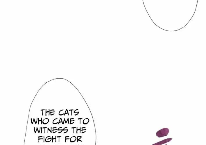 Monster Cat Punch Chapter 16 page 40 - 