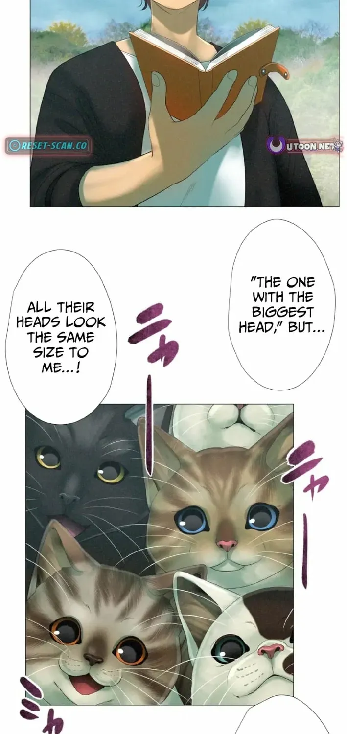 Monster Cat Punch Chapter 16 page 42 - 