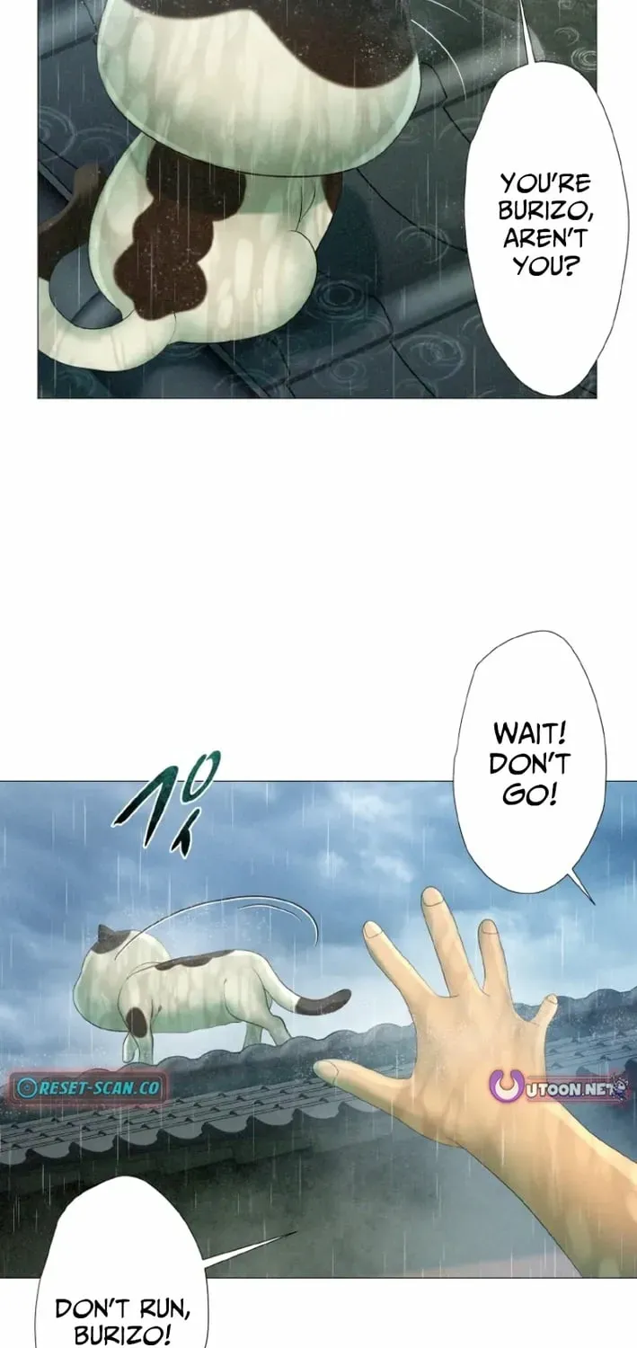 Monster Cat Punch Chapter 16 page 57 - 