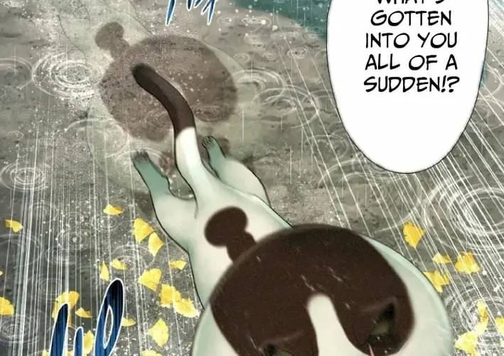 Monster Cat Punch Chapter 16 page 64 - 