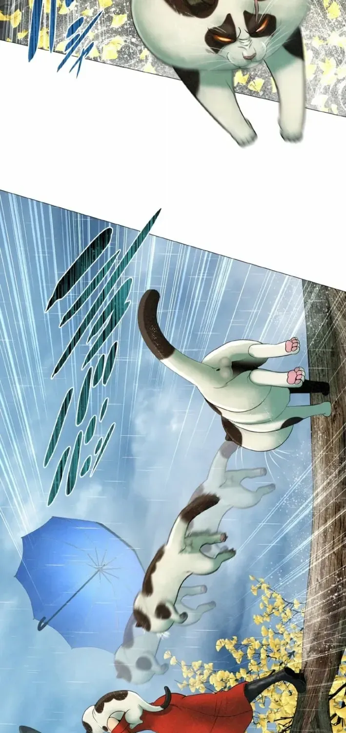 Monster Cat Punch Chapter 16 page 65 - 