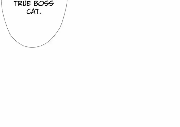 Monster Cat Punch Chapter 16 page 80 - 