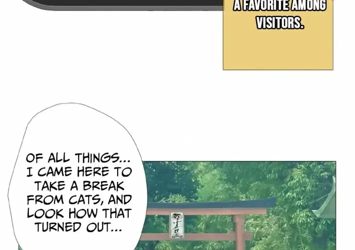 Monster Cat Punch Chapter 16 page 84 - 