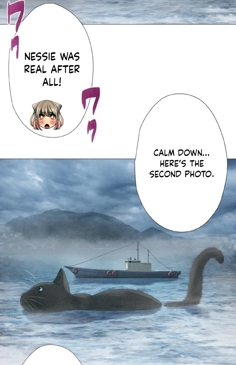 Monster Cat Punch Chapter 17 page 17 - 