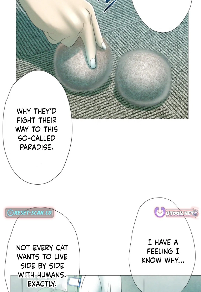 Monster Cat Punch Chapter 17 page 30 - 