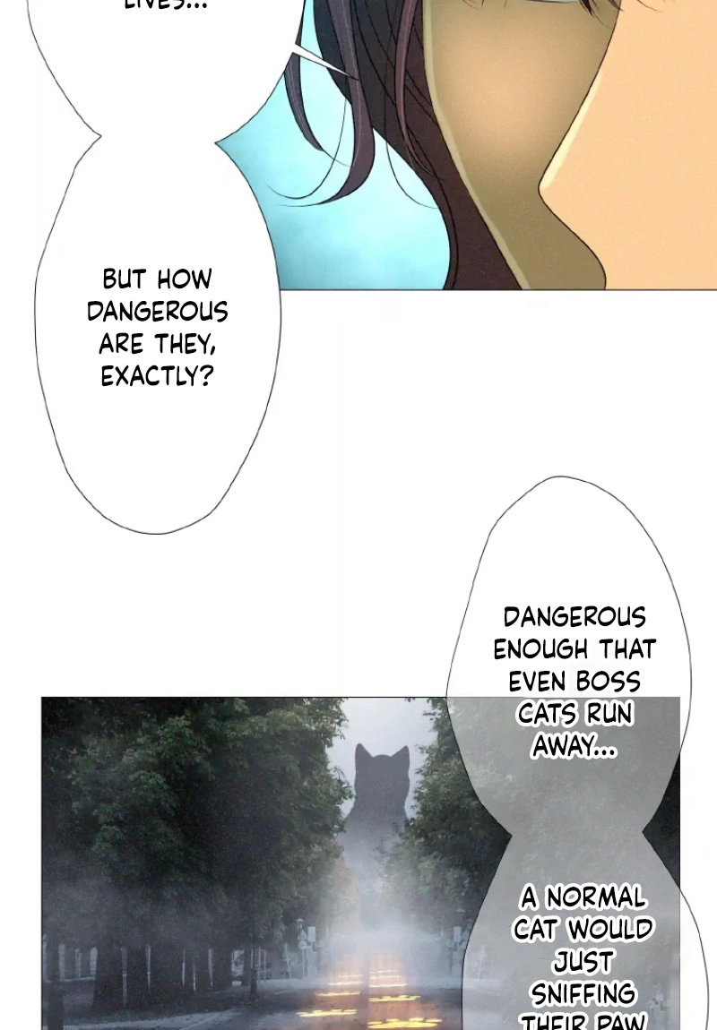 Monster Cat Punch Chapter 17 page 62 - 