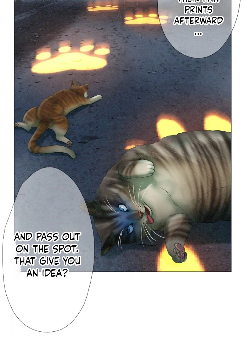 Monster Cat Punch Chapter 17 page 63 - 