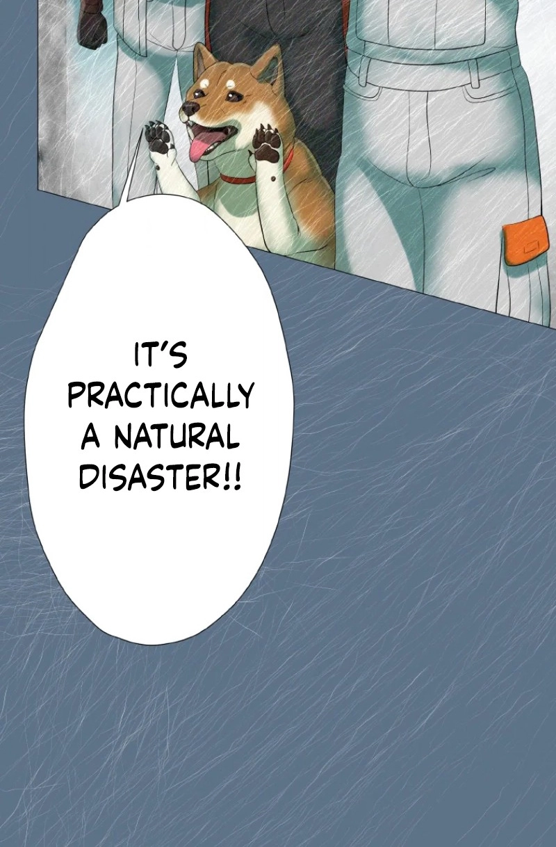 Monster Cat Punch Chapter 17 page 87 - 