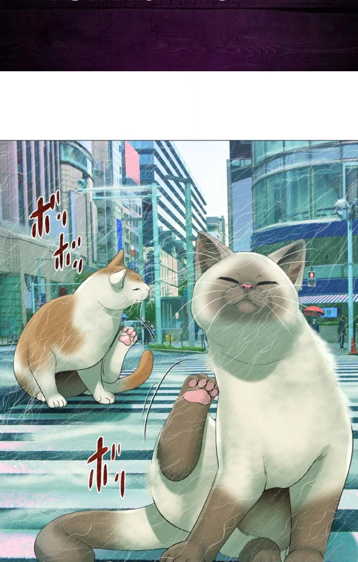 Monster Cat Punch Chapter 18 page 2 - 