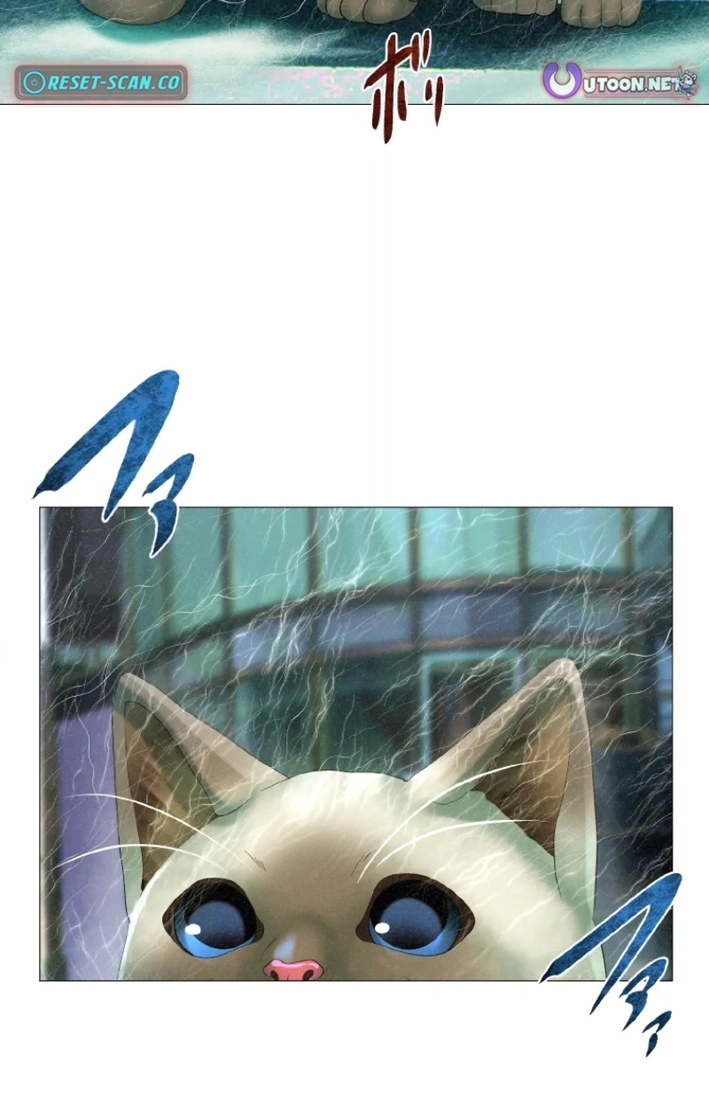 Monster Cat Punch Chapter 18 page 3 - 
