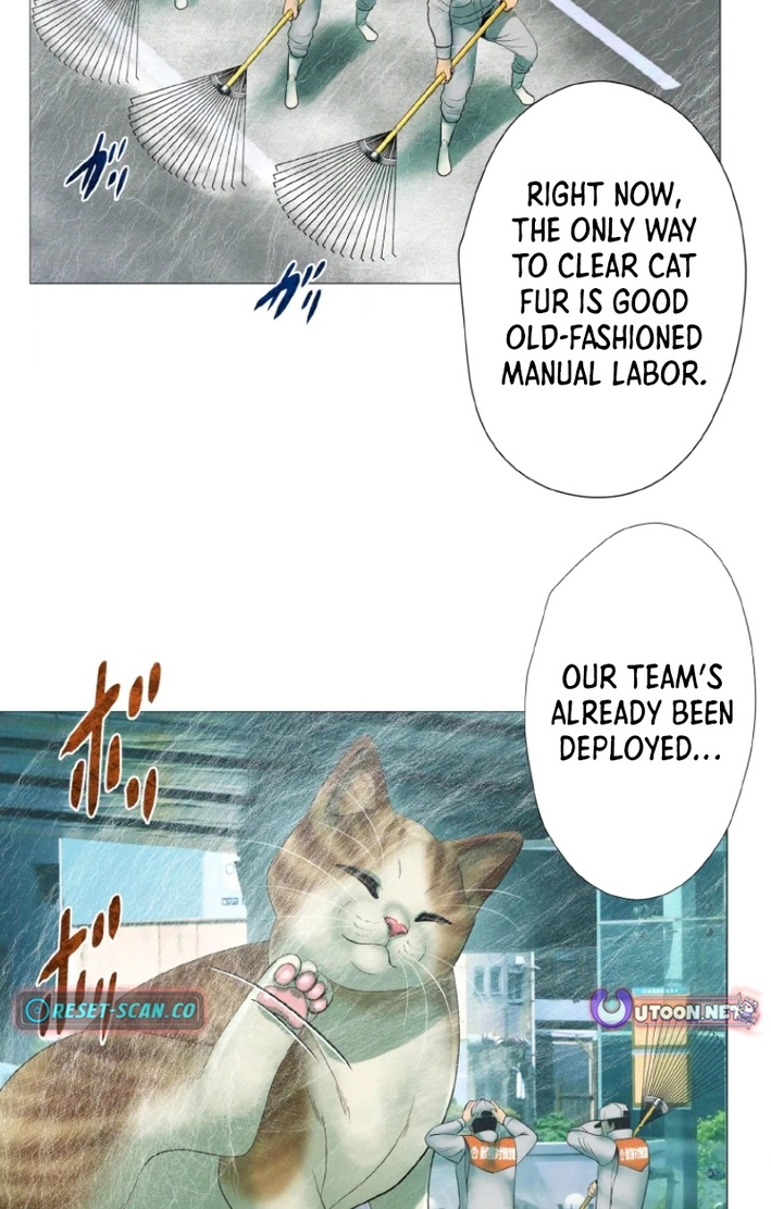Monster Cat Punch Chapter 18 page 22 - 