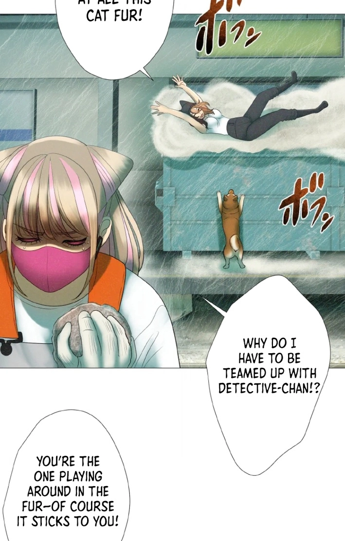 Monster Cat Punch Chapter 18 page 34 - 