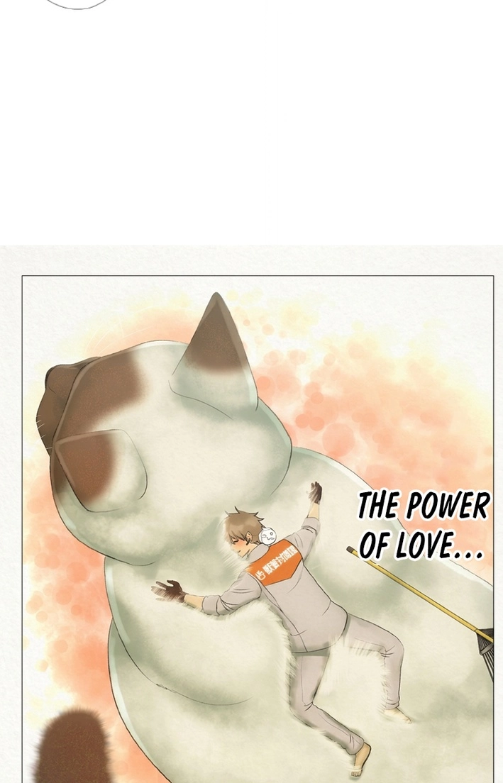 Monster Cat Punch Chapter 18 page 54 - 