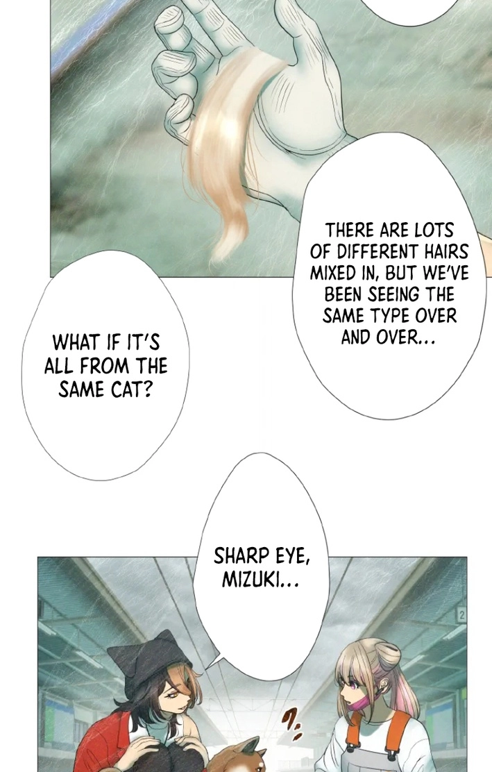 Monster Cat Punch Chapter 18 page 59 - 