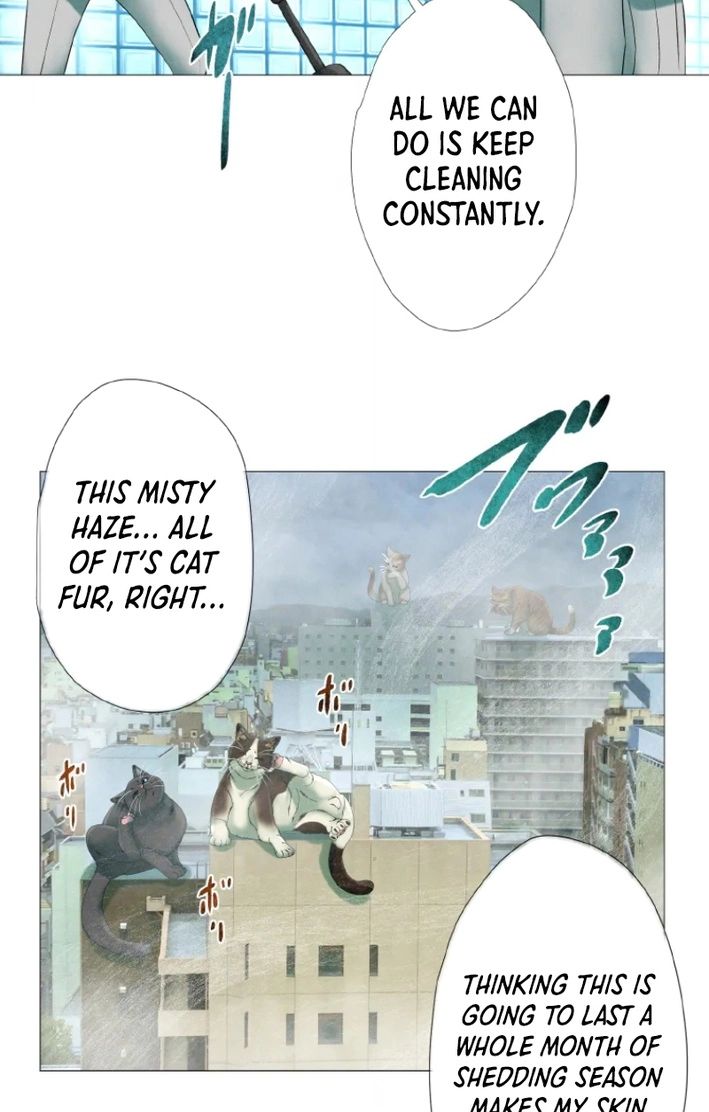 Monster Cat Punch Chapter 18 page 7 - 