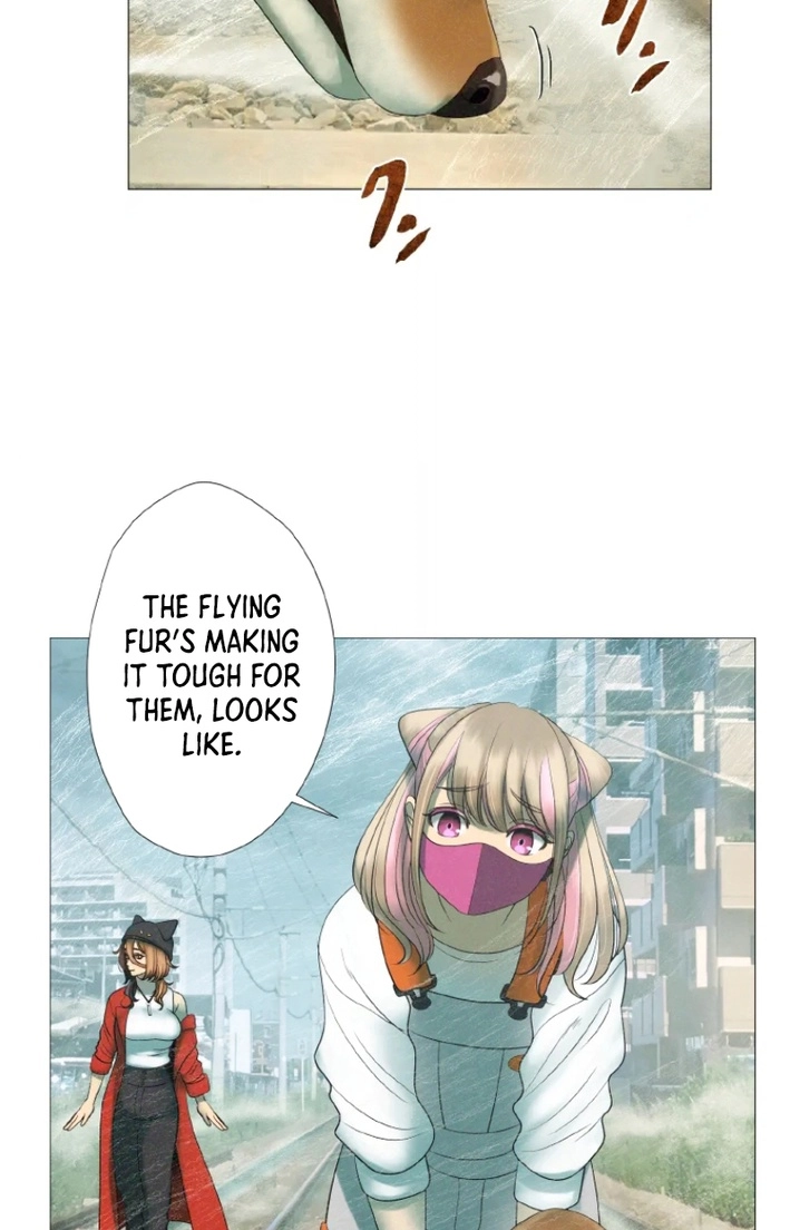 Monster Cat Punch Chapter 18 page 63 - 