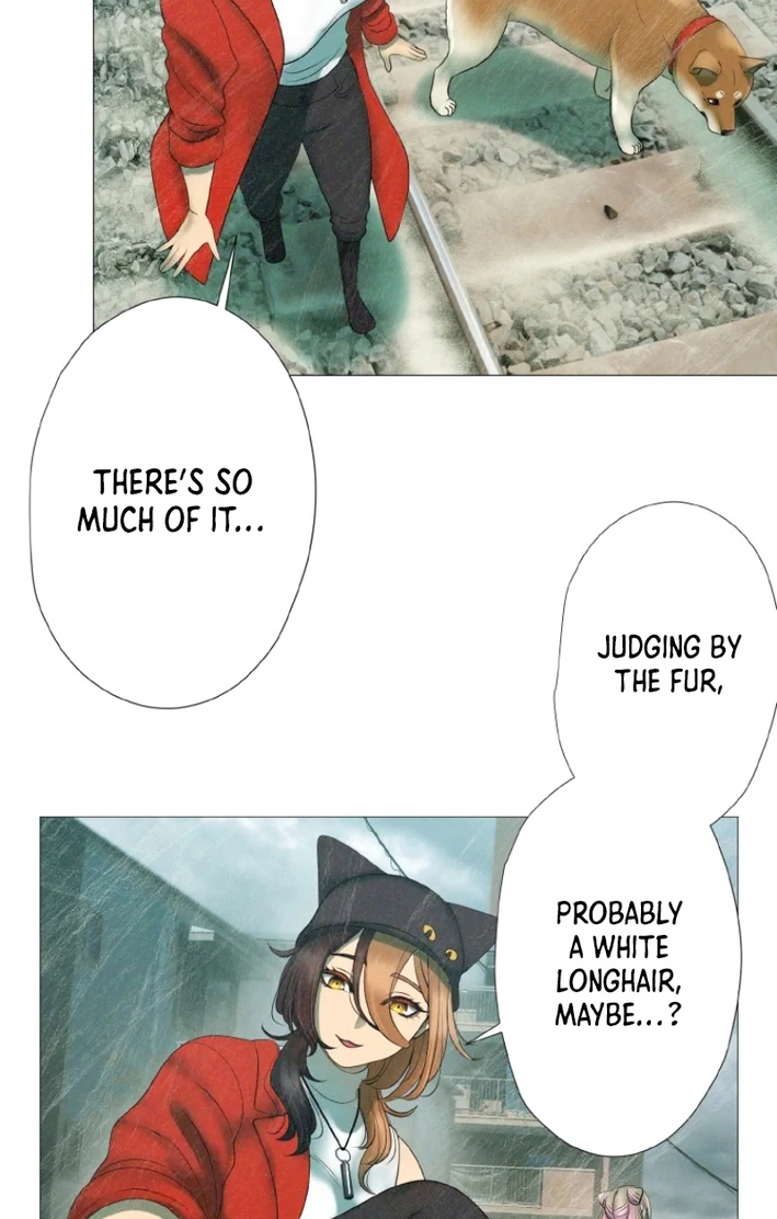 Monster Cat Punch Chapter 18 page 65 - 