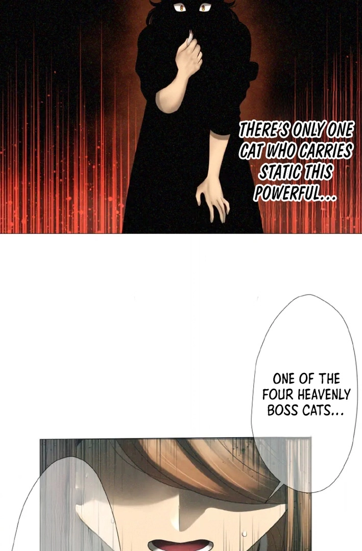 Monster Cat Punch Chapter 18 page 73 - 
