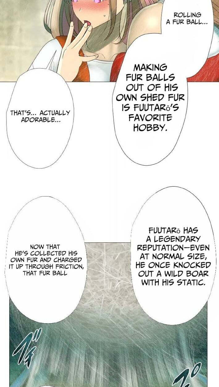 Monster Cat Punch Chapter 19 page 29 - 