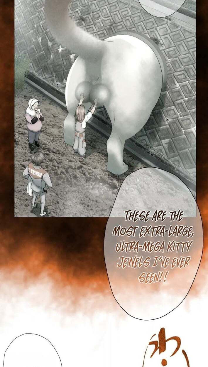 Monster Cat Punch Chapter 19 page 4 - 
