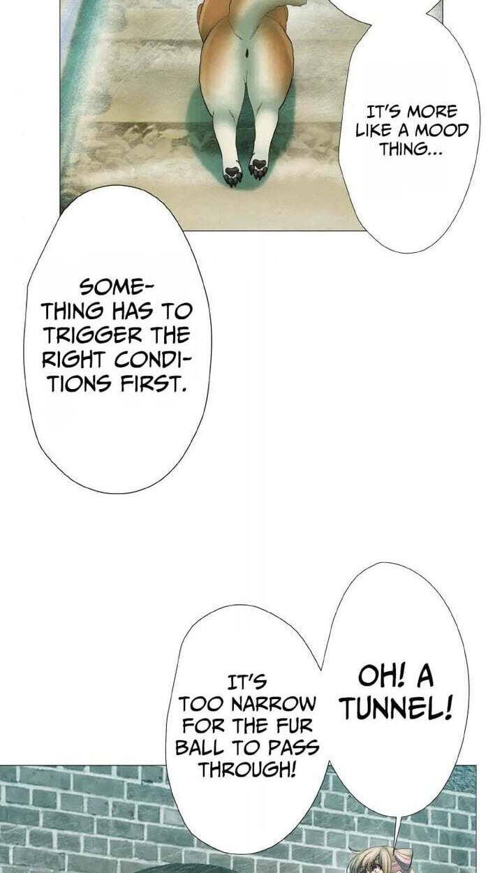 Monster Cat Punch Chapter 19 page 38 - 