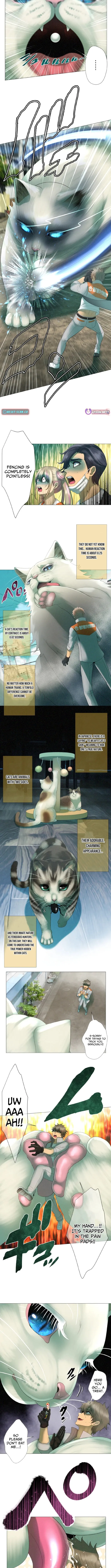 Monster Cat Punch Chapter 2 page 8 - 