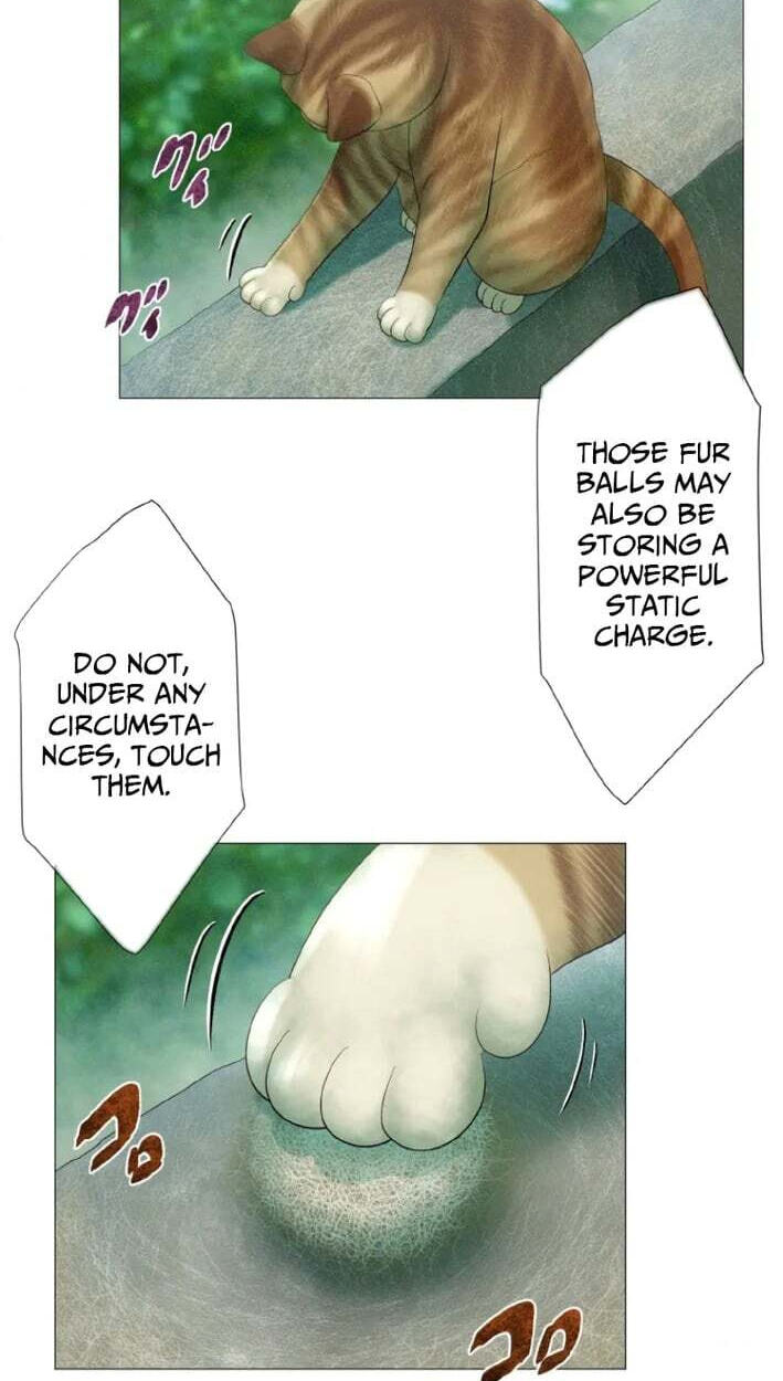 Monster Cat Punch Chapter 20 page 6 - 